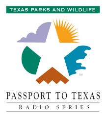 Passport to Texas